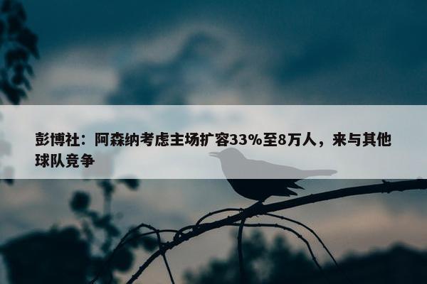 彭博社：阿森纳考虑主场扩容33%至8万人，来与其他球队竞争