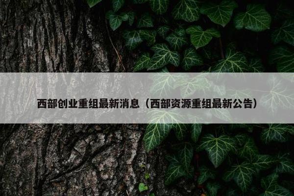 西部创业重组最新消息（西部资源重组最新公告）