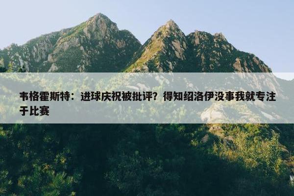 韦格霍斯特：进球庆祝被批评？得知绍洛伊没事我就专注于比赛