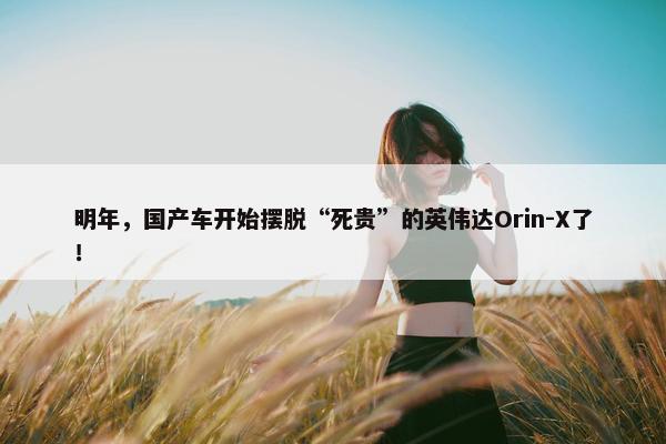 明年，国产车开始摆脱“死贵”的英伟达Orin-X了！