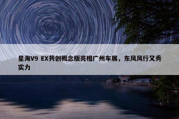 星海V9 EX共创概念版亮相广州车展，东风风行又秀实力