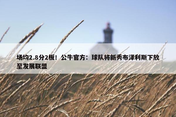 场均2.8分2板！公牛官方：球队将新秀布泽利斯下放至发展联盟