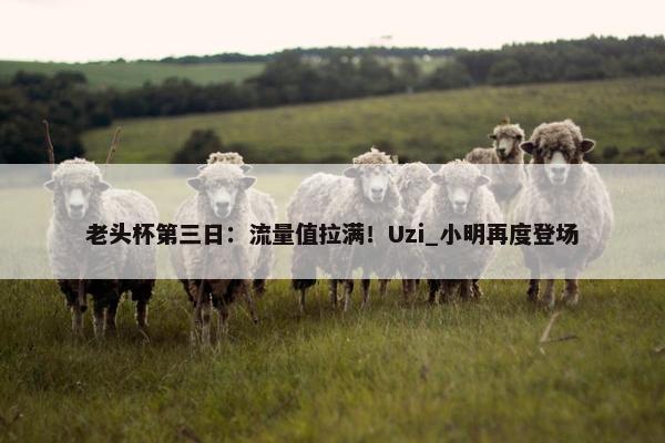 老头杯第三日：流量值拉满！Uzi_小明再度登场