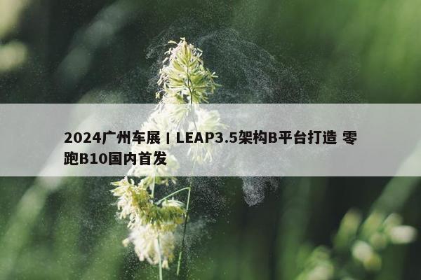 2024广州车展丨LEAP3.5架构B平台打造 零跑B10国内首发