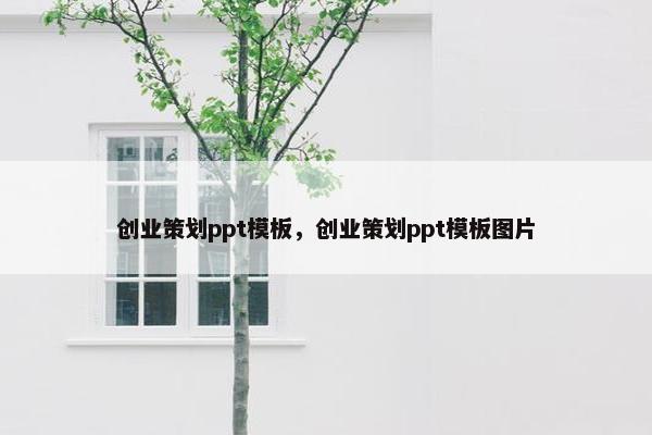 创业策划ppt模板，创业策划ppt模板图片