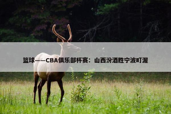 篮球——CBA俱乐部杯赛：山西汾酒胜宁波町渥