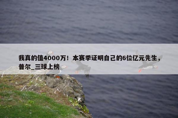 我真的值4000万！本赛季证明自己的6位亿元先生，普尔_三球上榜