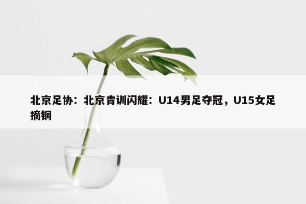 北京足协：北京青训闪耀：U14男足夺冠，U15女足摘铜