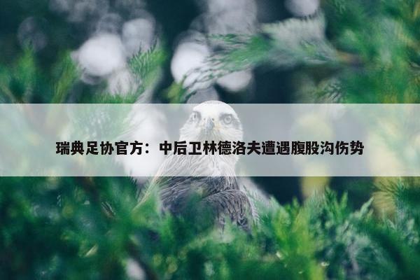 瑞典足协官方：中后卫林德洛夫遭遇腹股沟伤势