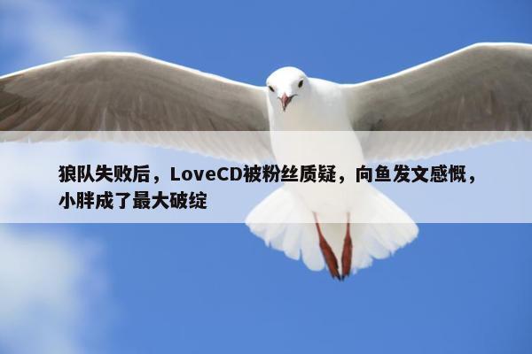 狼队失败后，LoveCD被粉丝质疑，向鱼发文感慨，小胖成了最大破绽