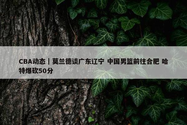 CBA动态｜莫兰德谈广东辽宁 中国男篮前往合肥 哈特爆砍50分