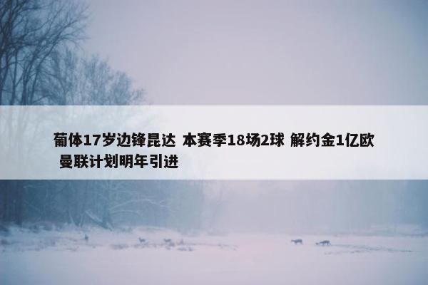 葡体17岁边锋昆达 本赛季18场2球 解约金1亿欧 曼联计划明年引进