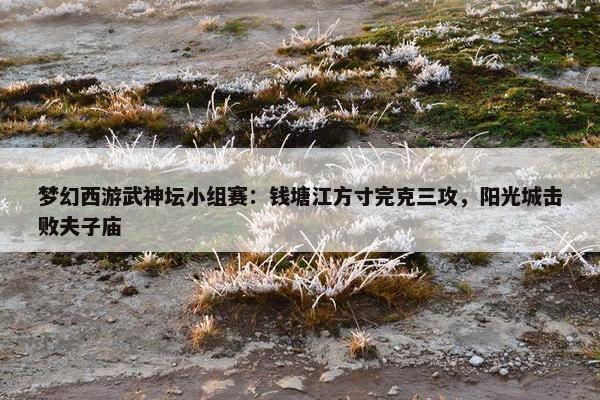 梦幻西游武神坛小组赛：钱塘江方寸完克三攻，阳光城击败夫子庙