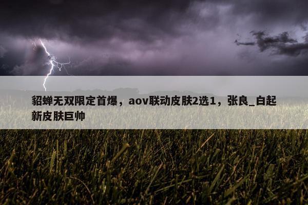 貂蝉无双限定首爆，aov联动皮肤2选1，张良_白起新皮肤巨帅