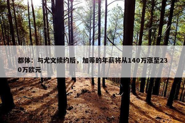 都体：与尤文续约后，加蒂的年薪将从140万涨至230万欧元