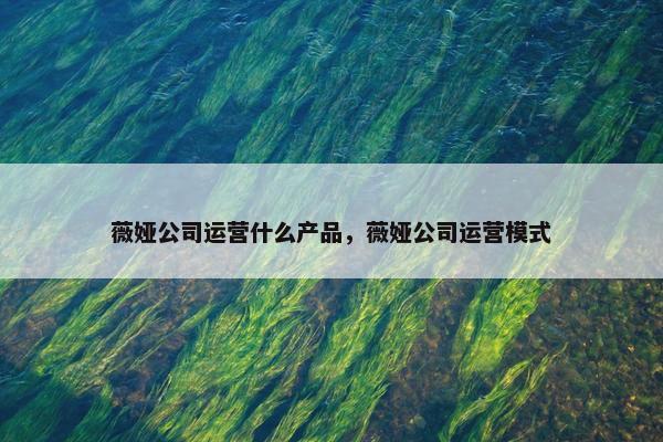 薇娅公司运营什么产品，薇娅公司运营模式