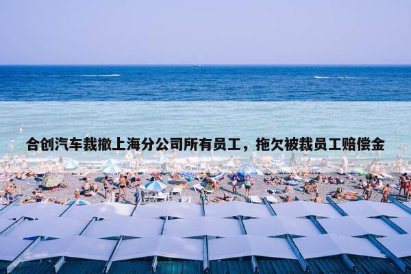 合创汽车裁撤上海分公司所有员工，拖欠被裁员工赔偿金