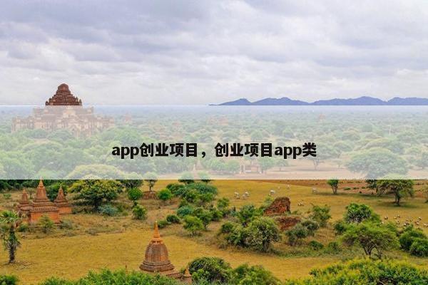 app创业项目，创业项目app类