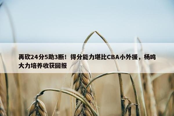 再砍24分5助3断！得分能力堪比CBA小外援，杨鸣大力培养收获回报