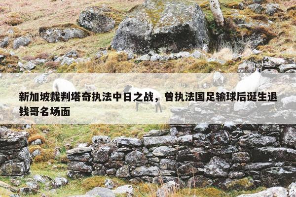 新加坡裁判塔奇执法中日之战，曾执法国足输球后诞生退钱哥名场面