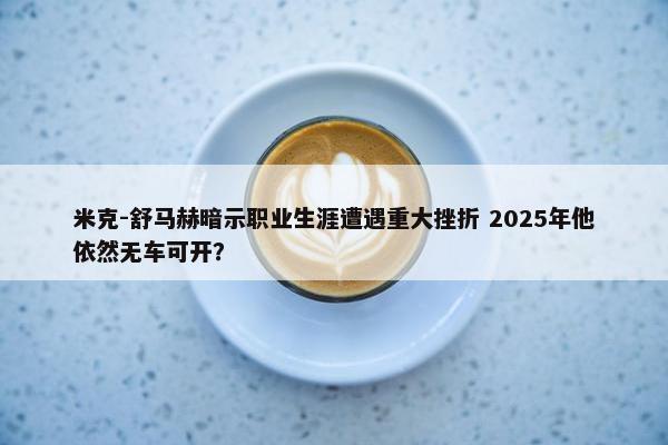 米克-舒马赫暗示职业生涯遭遇重大挫折 2025年他依然无车可开？