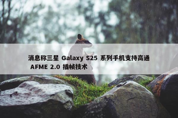 消息称三星 Galaxy S25 系列手机支持高通 AFME 2.0 插帧技术