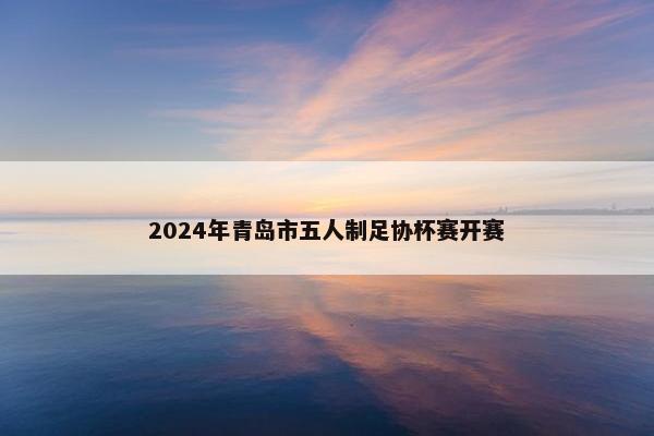 2024年青岛市五人制足协杯赛开赛