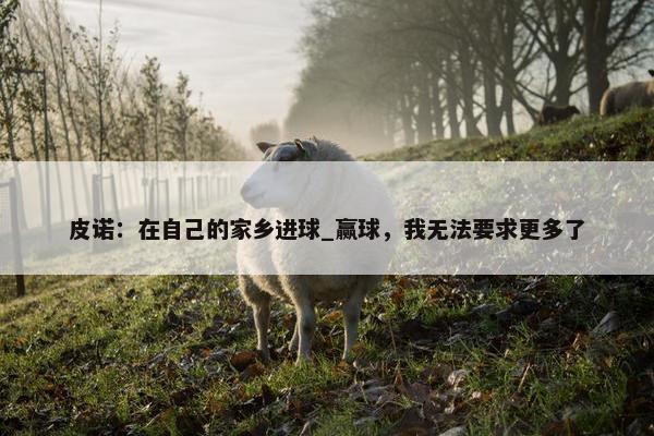 皮诺：在自己的家乡进球_赢球，我无法要求更多了