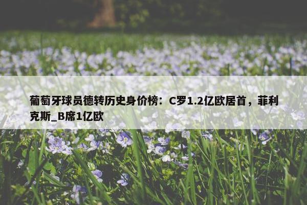 葡萄牙球员德转历史身价榜：C罗1.2亿欧居首，菲利克斯_B席1亿欧