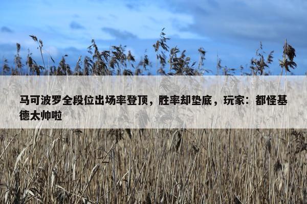 马可波罗全段位出场率登顶，胜率却垫底，玩家：都怪基德太帅啦