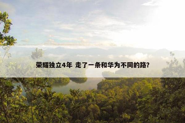 荣耀独立4年 走了一条和华为不同的路？