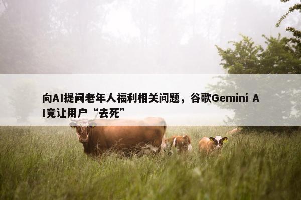 向AI提问老年人福利相关问题，谷歌Gemini AI竟让用户“去死”