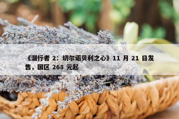 《潜行者 2：切尔诺贝利之心》11 月 21 日发售，国区 268 元起