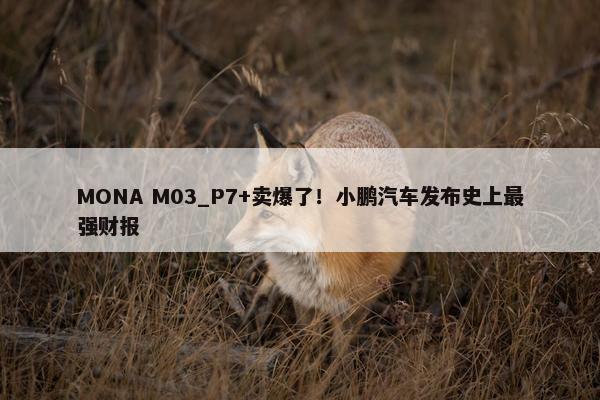 MONA M03_P7+卖爆了！小鹏汽车发布史上最强财报