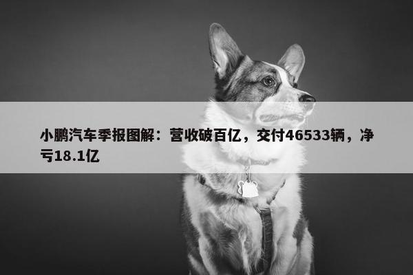 小鹏汽车季报图解：营收破百亿，交付46533辆，净亏18.1亿