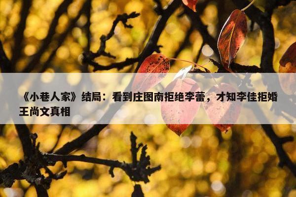 《小巷人家》结局：看到庄图南拒绝李蕾，才知李佳拒婚王尚文真相