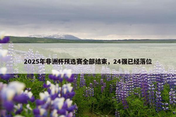 2025年非洲杯预选赛全部结束，24强已经落位