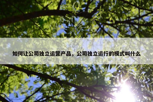 如何让公司独立运营产品，公司独立运行的模式叫什么