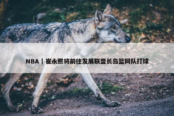 NBA｜崔永熙将前往发展联盟长岛篮网队打球