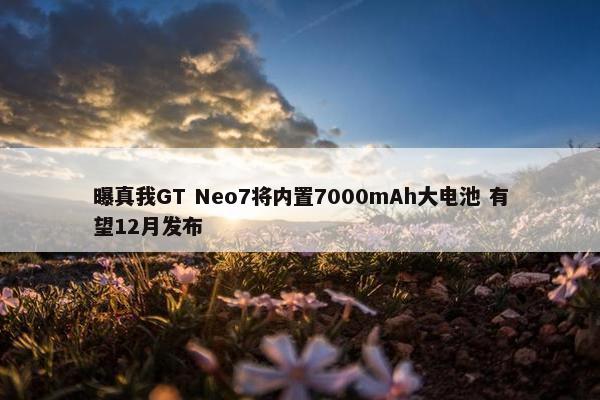 曝真我GT Neo7将内置7000mAh大电池 有望12月发布