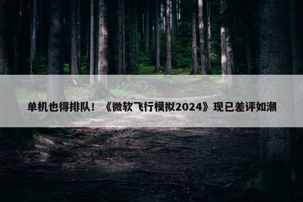 单机也得排队！《微软飞行模拟2024》现已差评如潮