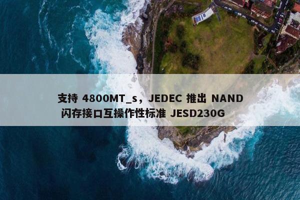 支持 4800MT_s，JEDEC 推出 NAND 闪存接口互操作性标准 JESD230G