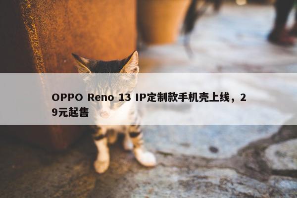 OPPO Reno 13 IP定制款手机壳上线，29元起售