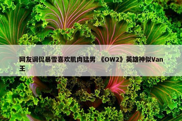 网友调侃暴雪喜欢肌肉猛男 《OW2》英雄神似Van王