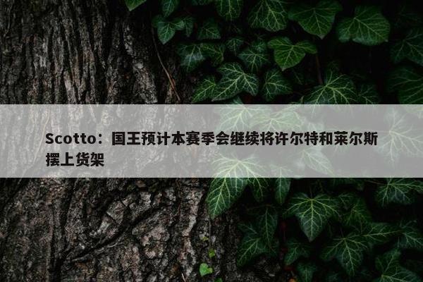 Scotto：国王预计本赛季会继续将许尔特和莱尔斯摆上货架