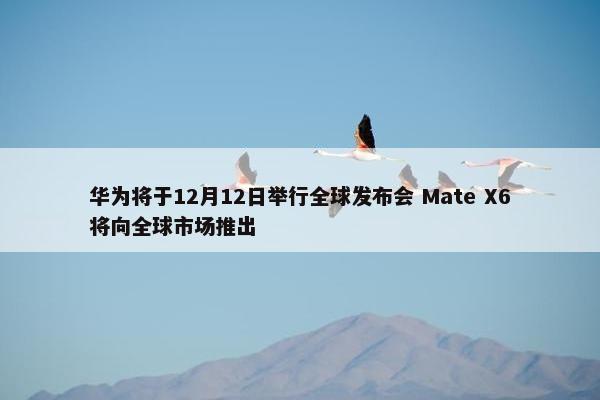 华为将于12月12日举行全球发布会 Mate X6将向全球市场推出