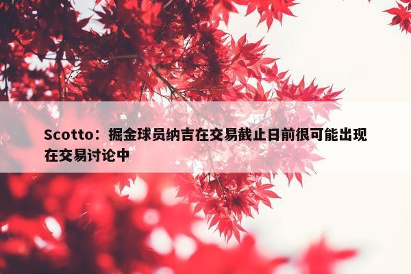 Scotto：掘金球员纳吉在交易截止日前很可能出现在交易讨论中