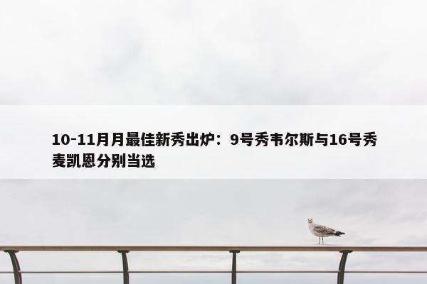 10-11月月最佳新秀出炉：9号秀韦尔斯与16号秀麦凯恩分别当选