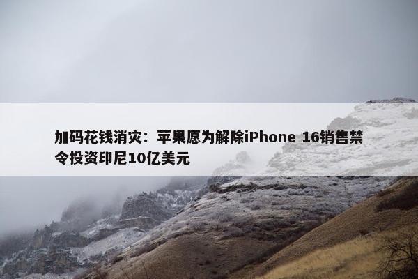 加码花钱消灾：苹果愿为解除iPhone 16销售禁令投资印尼10亿美元