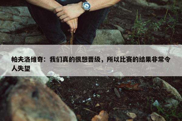 帕夫洛维奇：我们真的很想晋级，所以比赛的结果非常令人失望